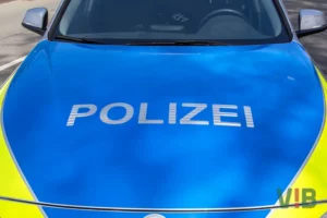 Zum Artikel...